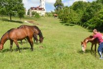 Žrebička dvojčka na Polenšaku