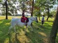 Druženje s konji v Parku doživetij