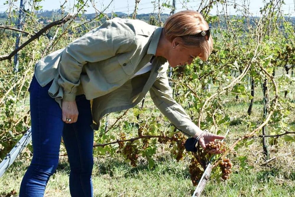 Ministrica na ogledu škode