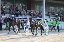 30. slovenski kasaški derbi