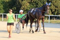 30. slovenski kasaški derbi