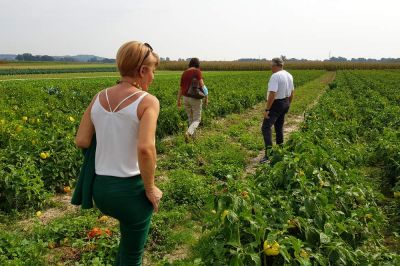 Ministrica na ogledu kmetijske proizvodnje, foto: Ministrstvo za kmetijstvo, gozdarstvo in prehrano