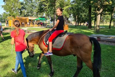 Druženje s konji v Parku doživetij