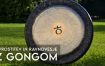 Sprostitev in ravnovesje z Gongom - Bioterme Mala Nedelja