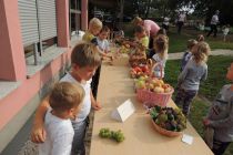 Tetka jesen in tržnica sadja