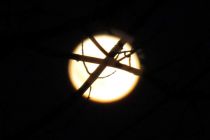 Polna Luna na Noč čarovnic