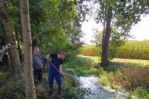 Prostovoljci očistili del struge potoka Črnec
