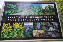 Razstava Invazivne tujerodne vrste