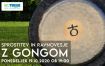 Sprostitev in Ravnovesje z Gongom