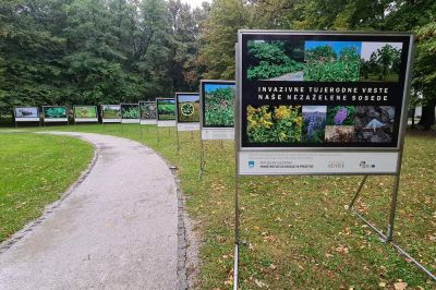 Razstava Invazivne tujerodne vrste