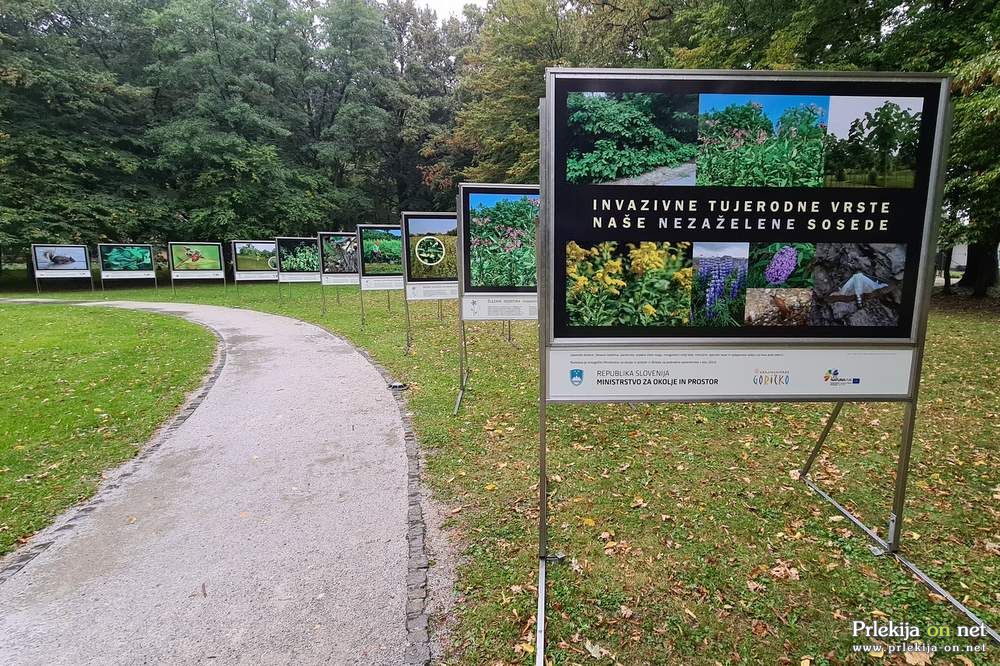 Razstava Invazivne tujerodne vrste