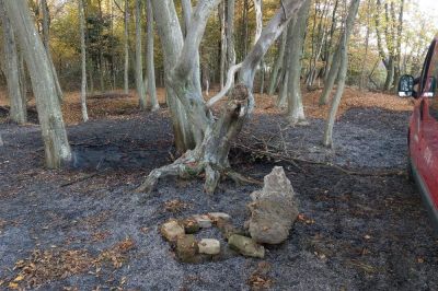 Zagorelo je v gozdu, foto: PGD Bučečovci