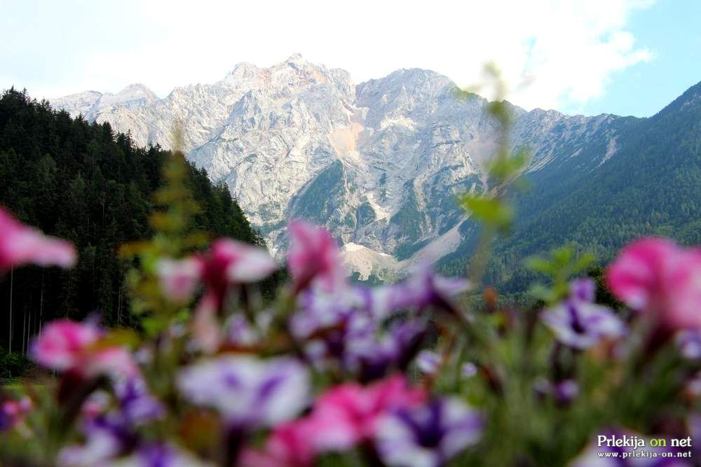 Veljavnost turističnih bonov je podaljšana