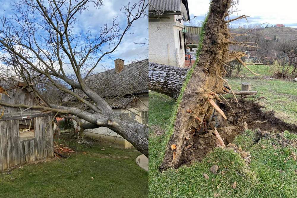Drevo je padlo med stanovanjsko hišo in gospodarsko poslopje, foto: PGD Ivanjkovci