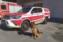 Usposabljanje za vodnika reševalnega psa