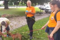 Usposabljanje za vodnika reševalnega psa