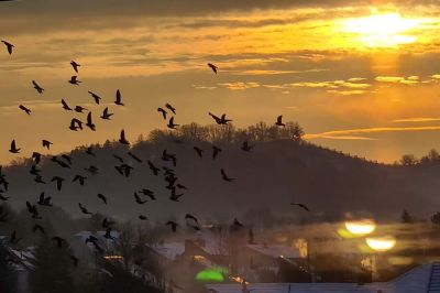 Meja sneženja bo na okoli 600 m nadmorske višine, zvečer pa se bo ponekod spustila do nižin.