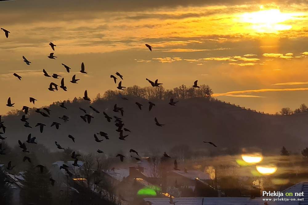 Meja sneženja bo na okoli 600 m nadmorske višine, zvečer pa se bo ponekod spustila do nižin.