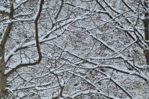 Sneg v Prlekiji