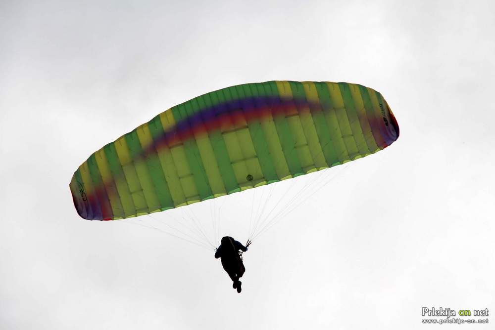 Padalec se je poškodoval pri pristanku