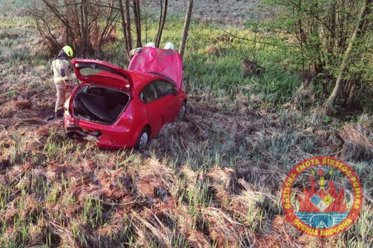 Voznica je zapeljala s ceste, foto: PGD Gornja Radgona