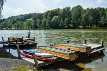 Forest Glamping resort Blaguš