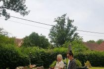 Literarni popoldan pri Mali Nedelji