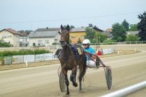 MALVAZIJA B TOMAŽIČ in Zaletel Borut