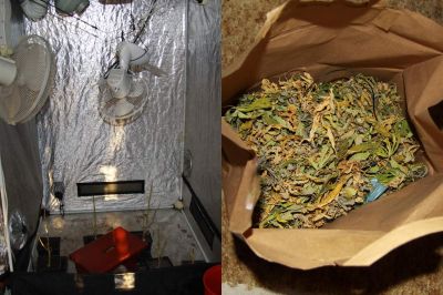 Med preiskavo so našli posebej prirejen prostor za gojenje in rastlinske delce
