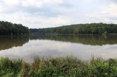 Bukovniško jezero