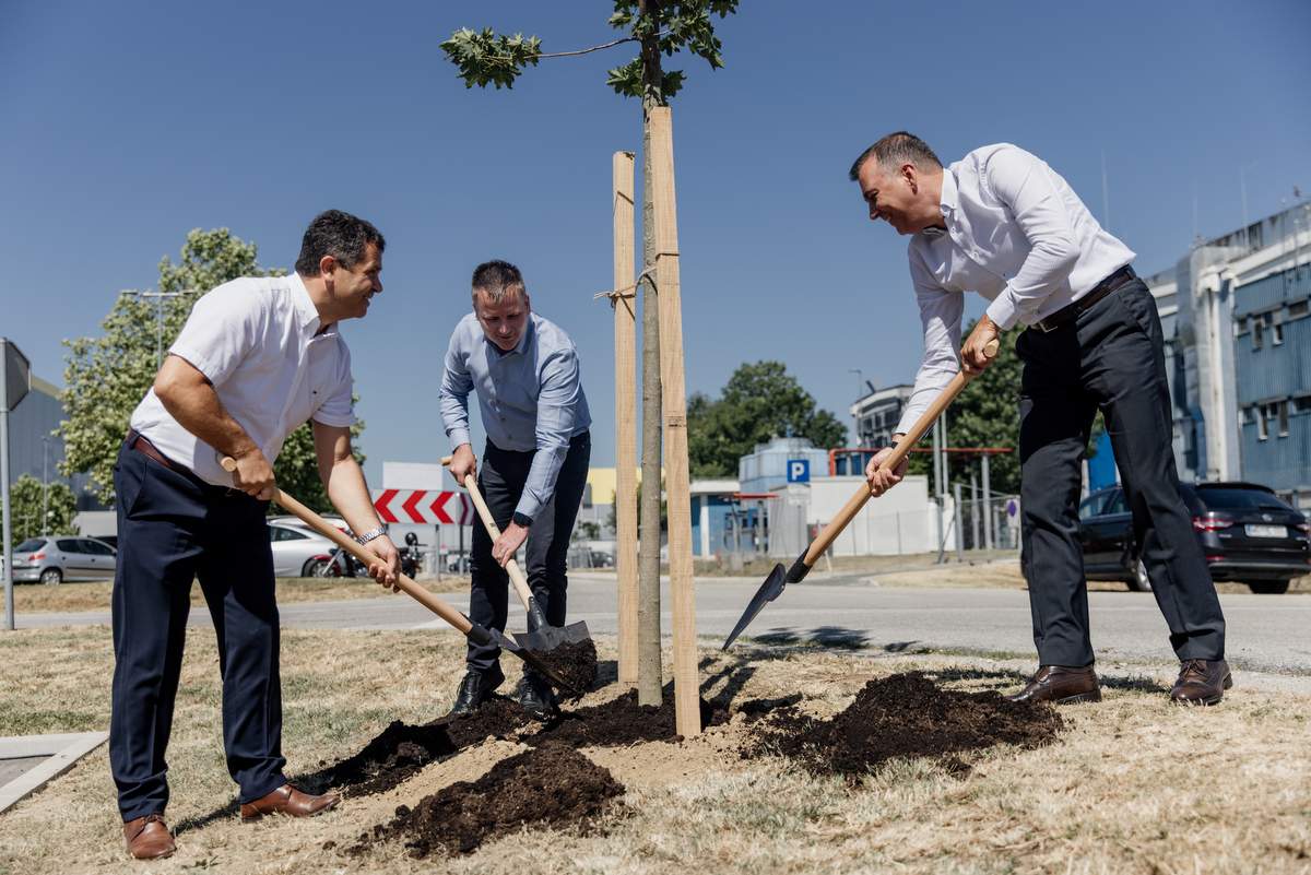 Janez Magyar, dr. Simon Rečnik in Robert Ljoljo zasadili drevo prijateljstva, foto: Novartis