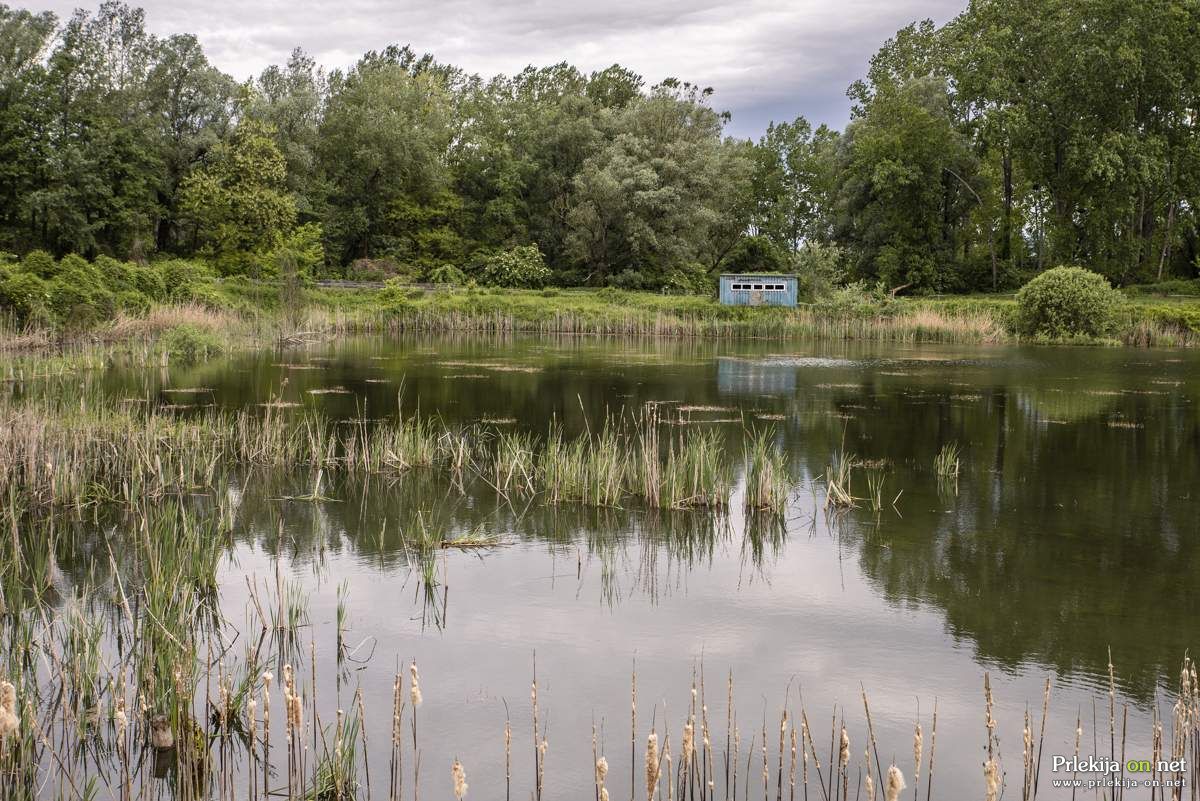 Naravni rezervat Ormoške lagune