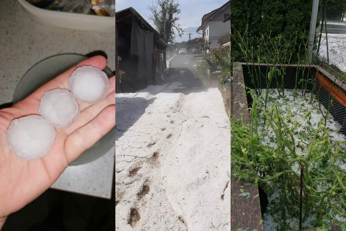 Točo so tudi plužili Točo so tudi plužili