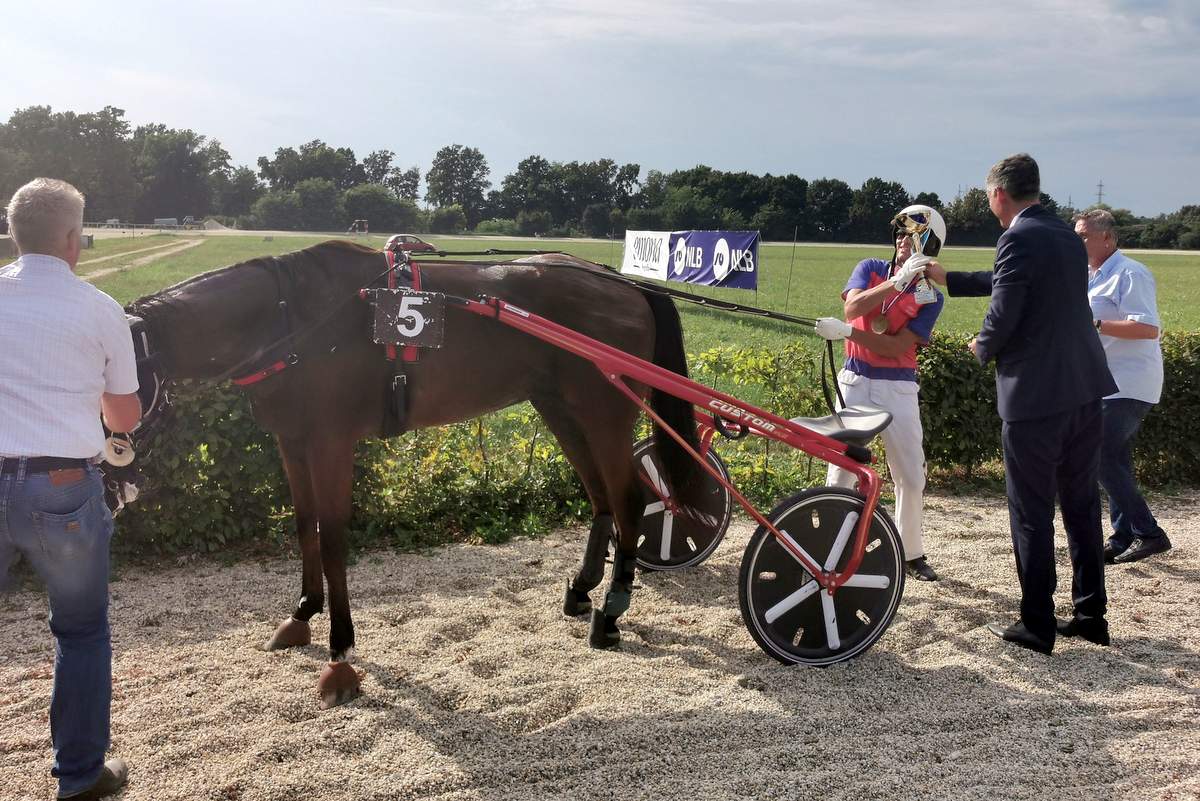 Kasaške dirke za pokal Pomurskega sejma