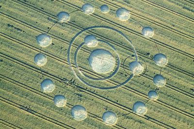 Žitni krog na Krapju je najkompleksnejši izmed krogov, ki so se pojavili pri nas, foto: Davorin Kurbos