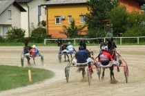 Kvalifikacije za državno prvenstvo za triletne kasače