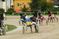 Kvalifikacije za državno prvenstvo za triletne kasače