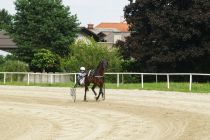 Kvalifikacije za državno prvenstvo za triletne kasače