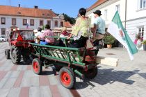 Postavljanje klopotca v Ljutomeru