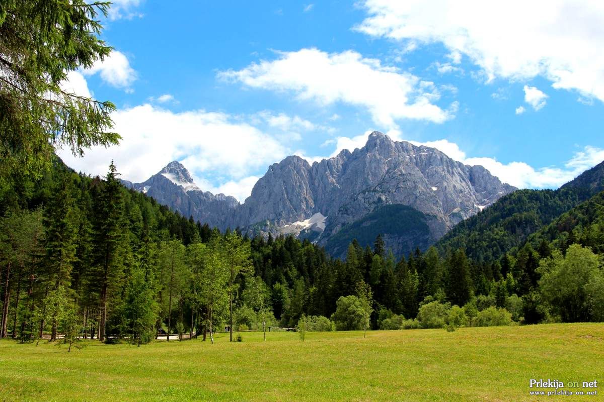 NFT bo predstavljal zbirko unikatnih digitalnih 3D eksponatov ter ekskluzivnih panoramskih oz. 360-stopinjskih fotografij z visoko ločljivostjo