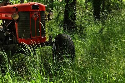 Traktor ga je pri delu stisnil ob drevo