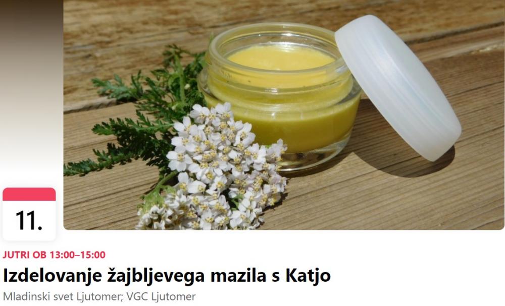 Izdelovanje žajbljevega mazila s Katjo