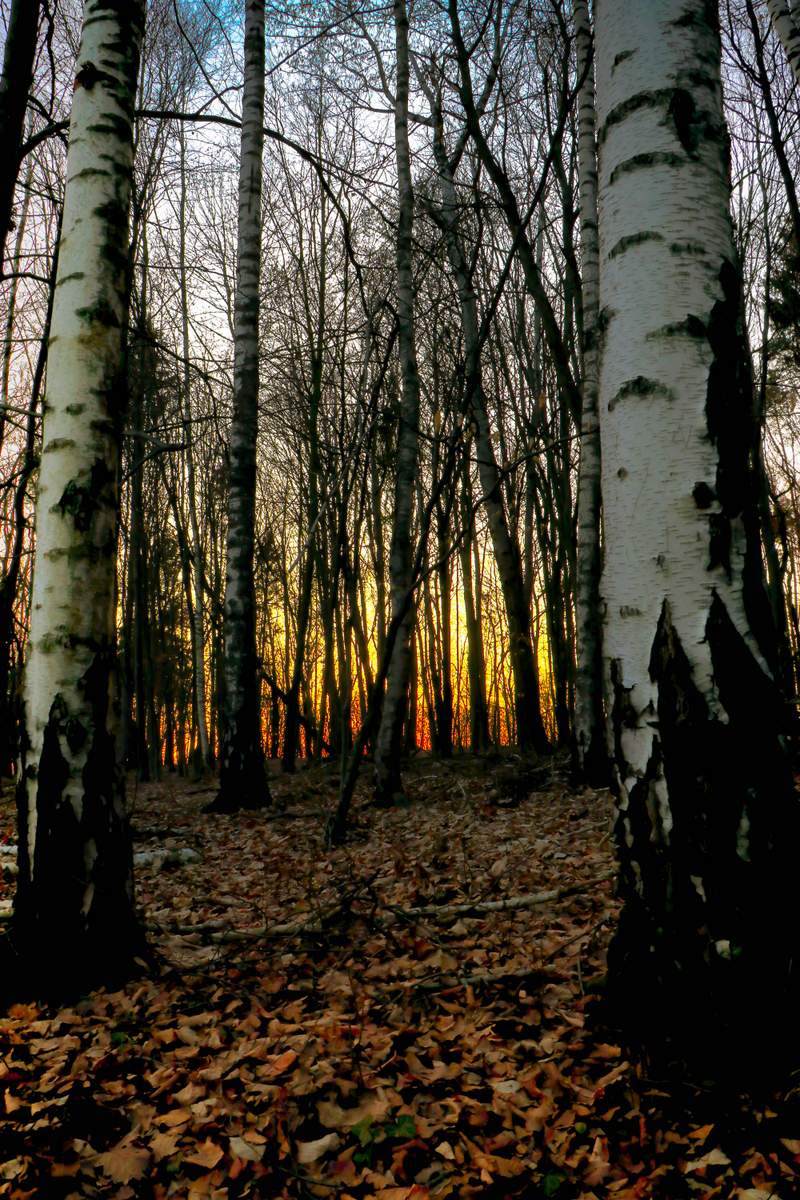 Zloudjova püša, foto: Rosana Lorbek