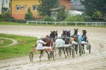 Spominska dirka Ludvika Slaviča st.