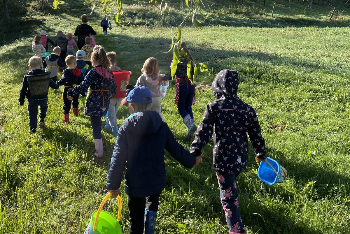 Trgatev v vrtcu Manka Golarja Gornja Radgona, enota Črešnjevci