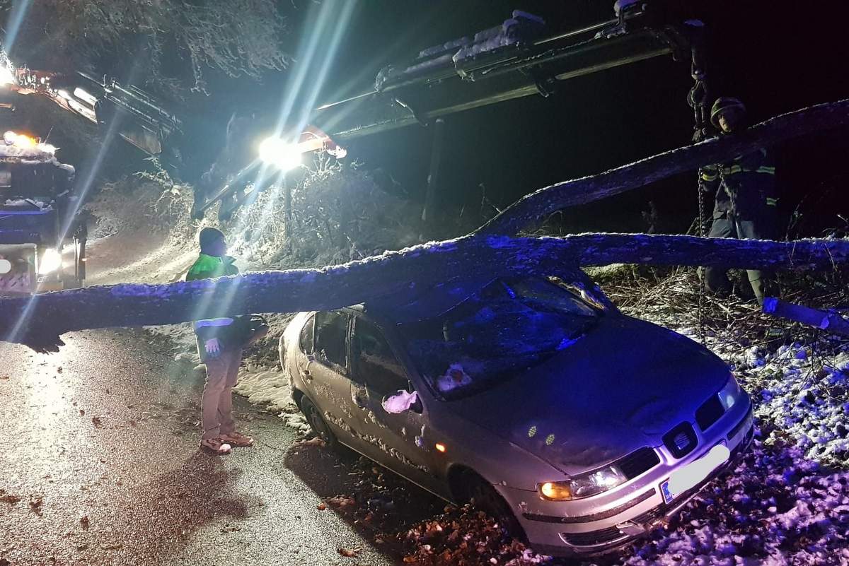 Drevo je padlo na vozilo Drevo je padlo na vozilo