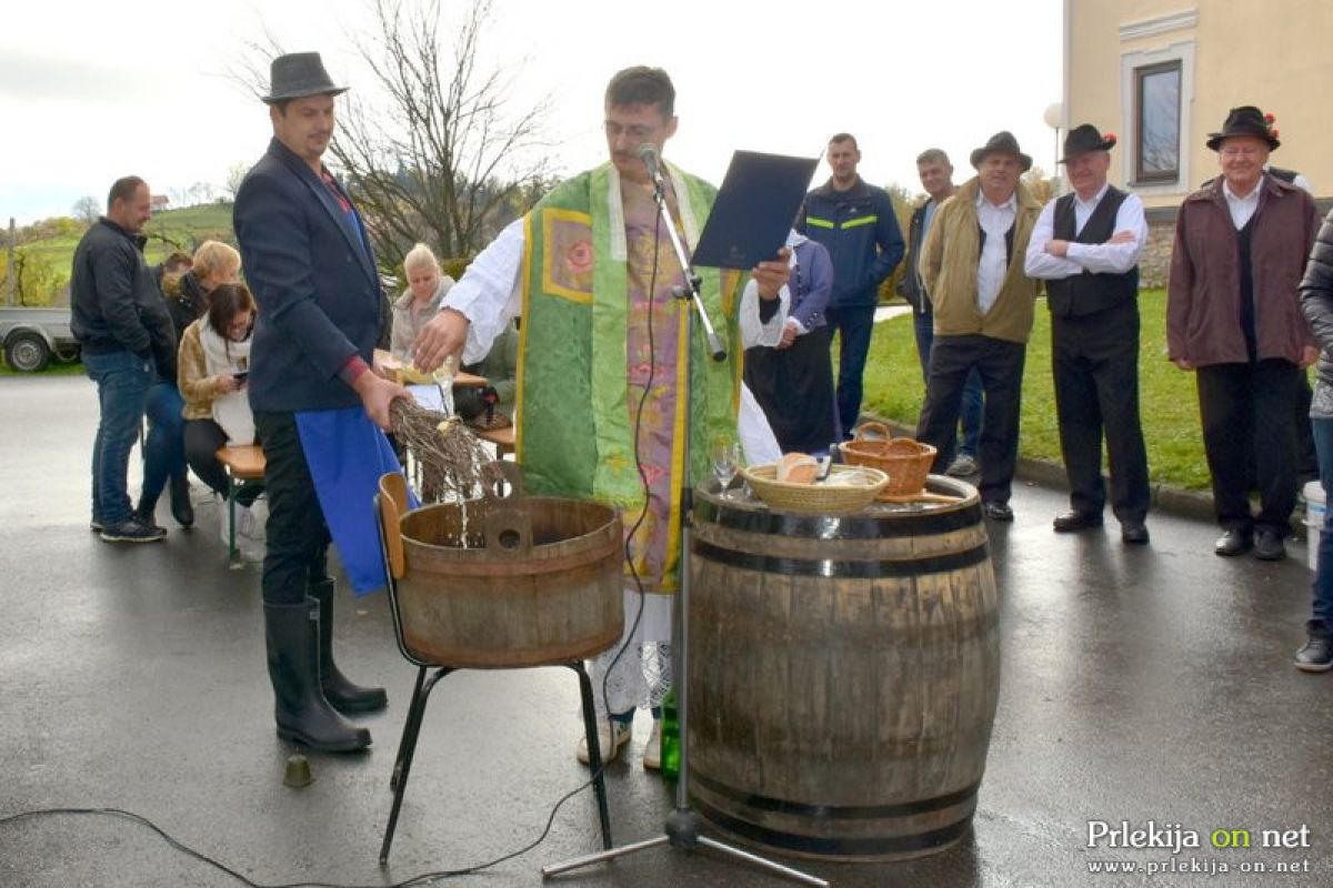 Martinovanje po Tomaževsko