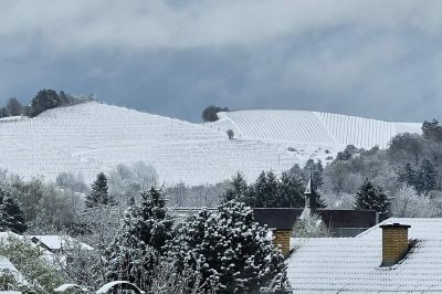 Prvi sneg po nižinah je po navadi ob koncu novembra ali v začetku decembra