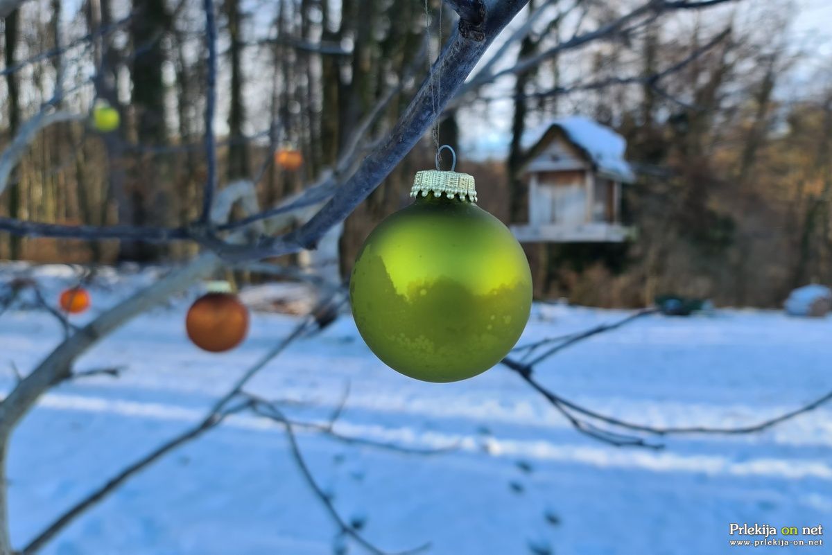 Snega tudi letos ne bo ob božiču