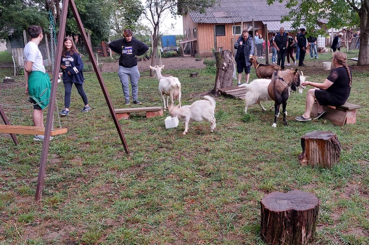 Ekološko kmetovanje v Sloveniji